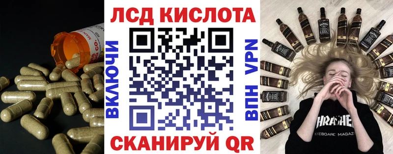 Лсд 25 экстази ecstasy  где купить   Куровское 